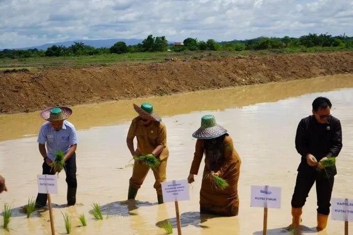 WhatsApp Image 2025-11-25 at 23.37.53